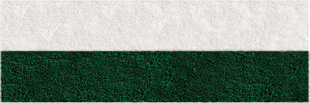 Frise Verte - 2 Bandes
