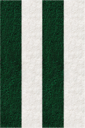 Frise Verte - 4 bandes