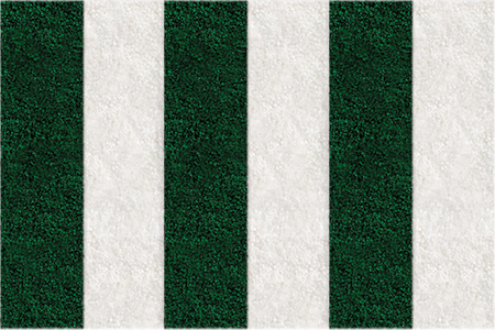 Frise Verte - 6 bandes