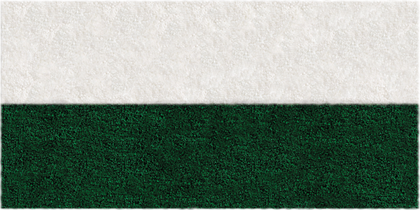 Frise Verte - 2 Bandes