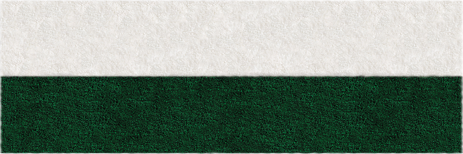 Frise Verte - 2 Bandes