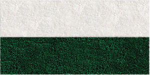 Frise Verte - 2 Bandes