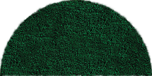 Demi Cercle Vert