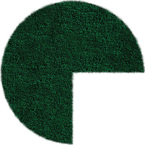 Pacman Vert