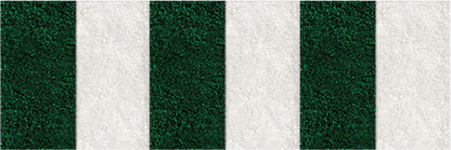 Frise Verte - 6 bandes