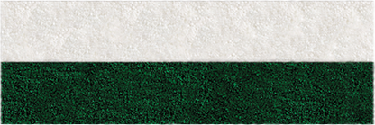 Frise Verte - 2 Bandes