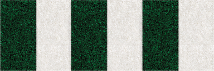 Frise Verte - 6 bandes