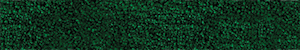 Trait de couleur - Vert
