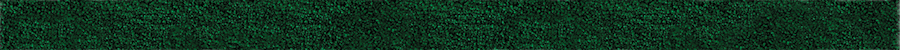 Trait de couleur - Vert